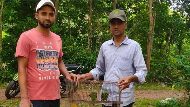 কাপ্তাইয়ে পাচার সময়ে টিয়া পাখি উদ্ধার