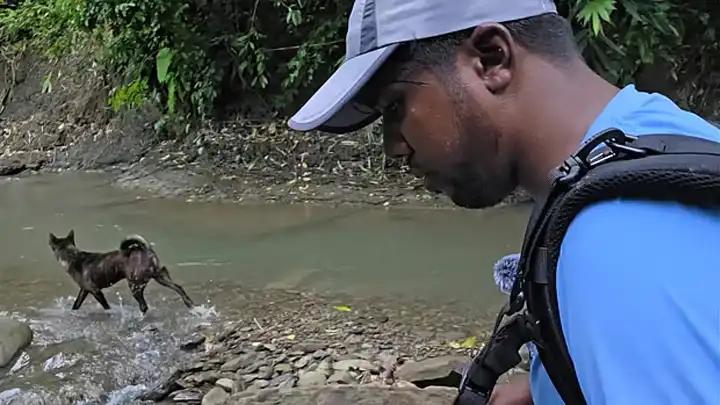 বান্দরবানের গহিনে একটি কুকুর যেভাবে গাইড হয়ে পথ দেখাল