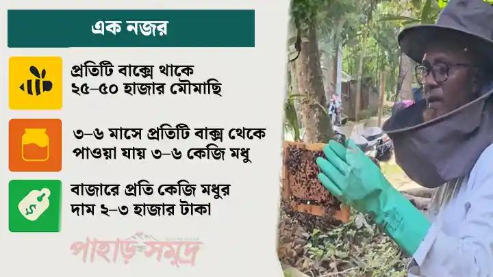 পাহাড়ি জীবিকায় নতুন ভরসা—মৌচাষ