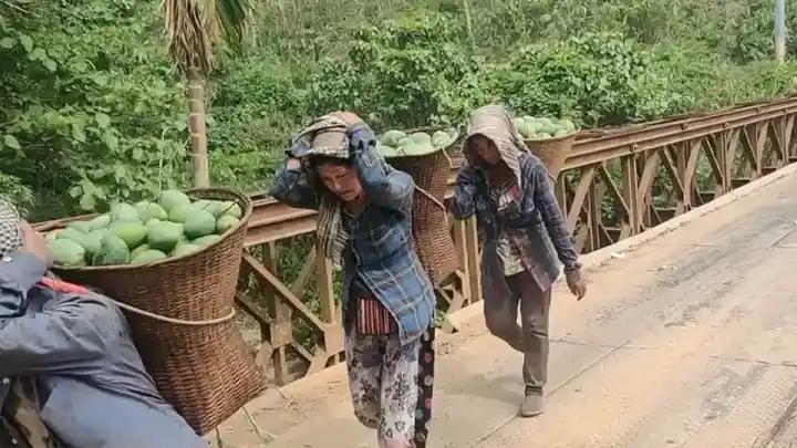 পাহাড়ের অর্গানিক ফসল নিয়ে হবে তথ্য হাব
