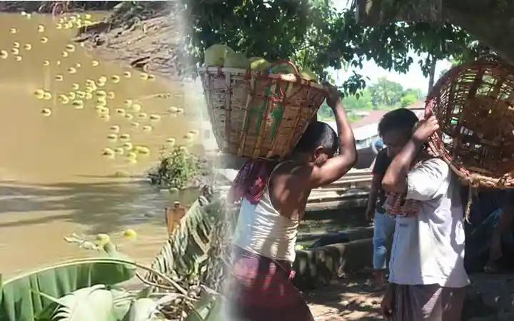 নদীতে ভেসে দেশজুড়ে পাহাড়ের জাম্বুরা!