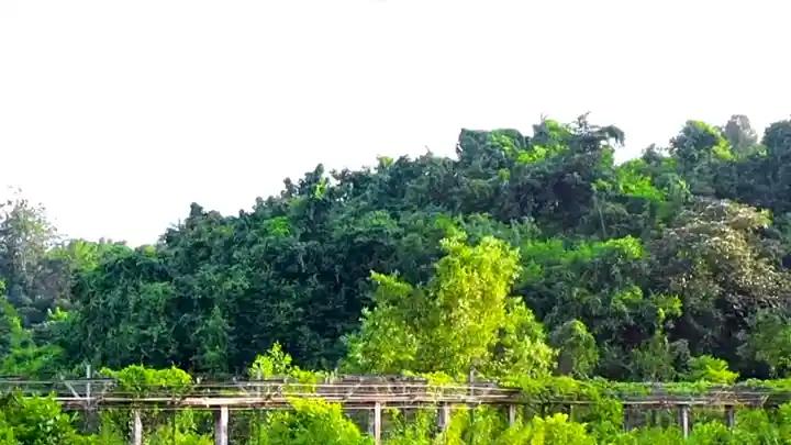 নাইক্ষ্যংছড়ি সীমান্তের ওপারে ফের গোলাগুলি, আতঙ্কে স্থানীয়রা