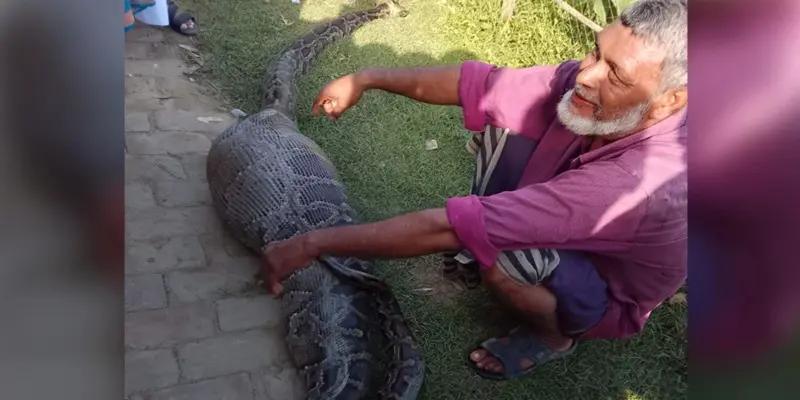 রাঙামাটিতে অজগরের পেটে কৃষকের আস্ত ছাগল