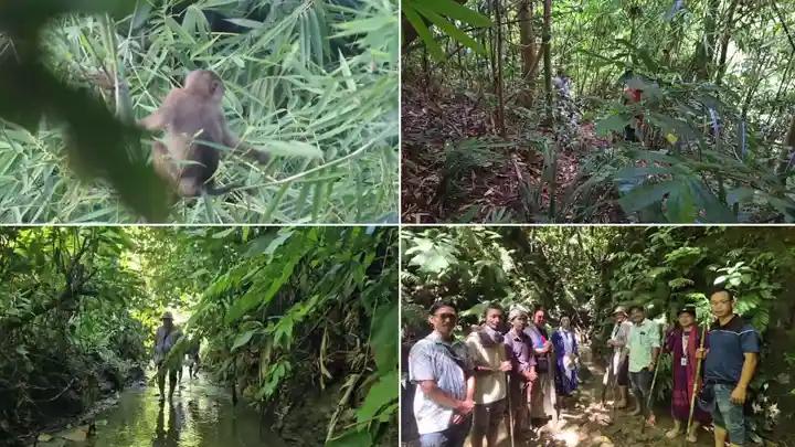 ৭০০ একর মৌজাবনের জীব বৈচিত্র্য রক্ষা করছে স্থানীয়রা