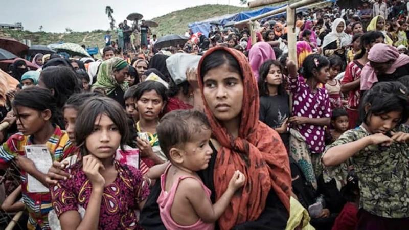 কক্সবাজারে ডেঙ্গু আক্রান্তের ৭৪ শতাংশের বেশি রোহিঙ্গা