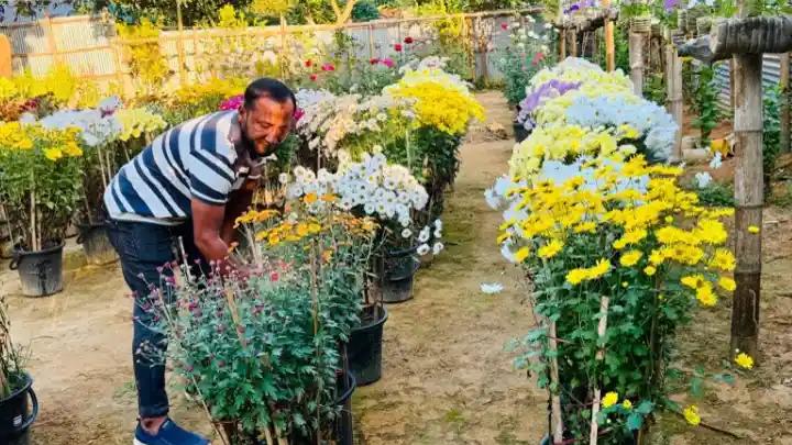 শখ থেকে জীবিকা