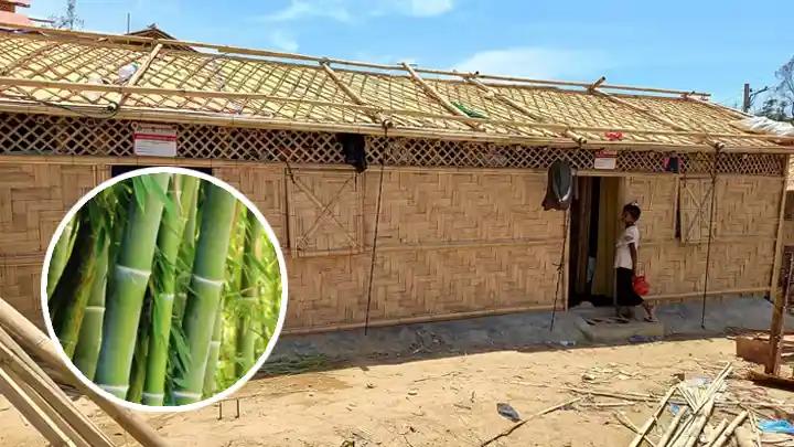 রোহিঙ্গা শিবিরে ঘর তৈরি, ধ্বংস হচ্ছে বাঁশবাগান