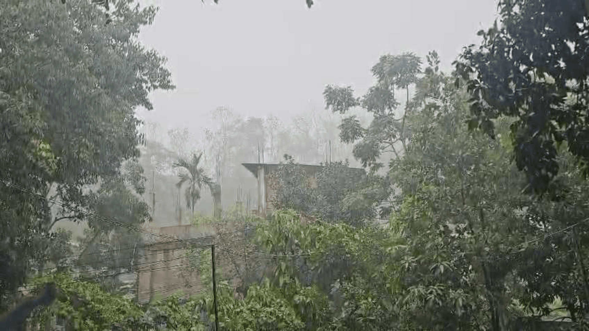 বান্দরবানে স্বস্তির বৃষ্টি