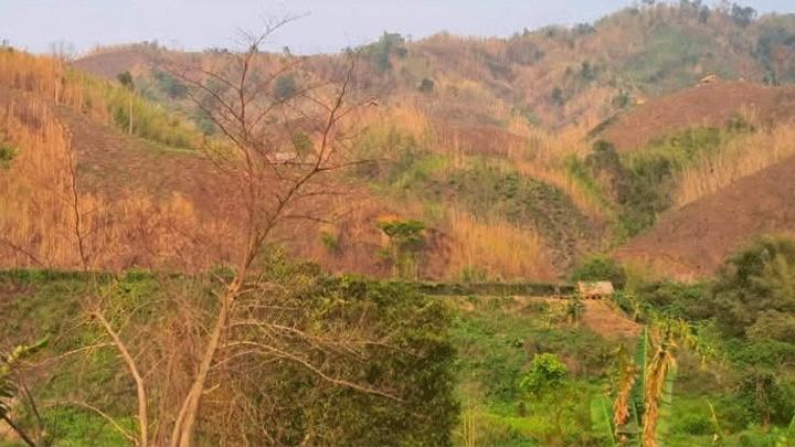 ‘পুশ ইন’ ঠেকাতে রাঙামাটি-ভারত সীমান্তে বিজিবির টহল জোরদার