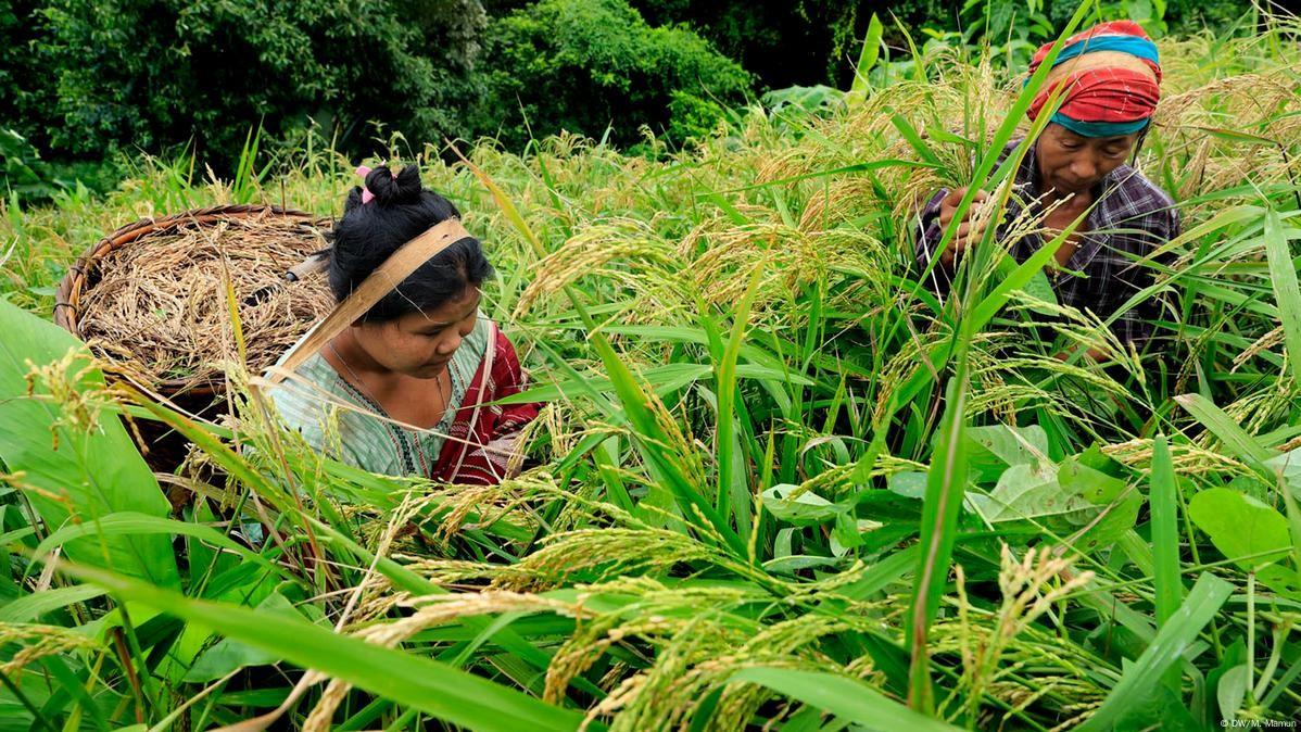 ‘সমান সুযোগে পিছিয়ে থাকবে না পার্বত্যাঞ্চলের নারীরাও’